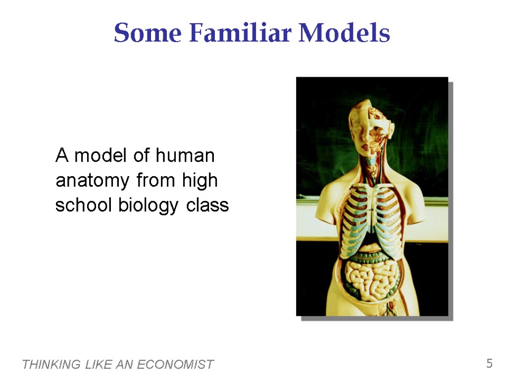 THINKING LIKE AN ECONOMIST 5 Some Familiar Models A model of human anatomy from